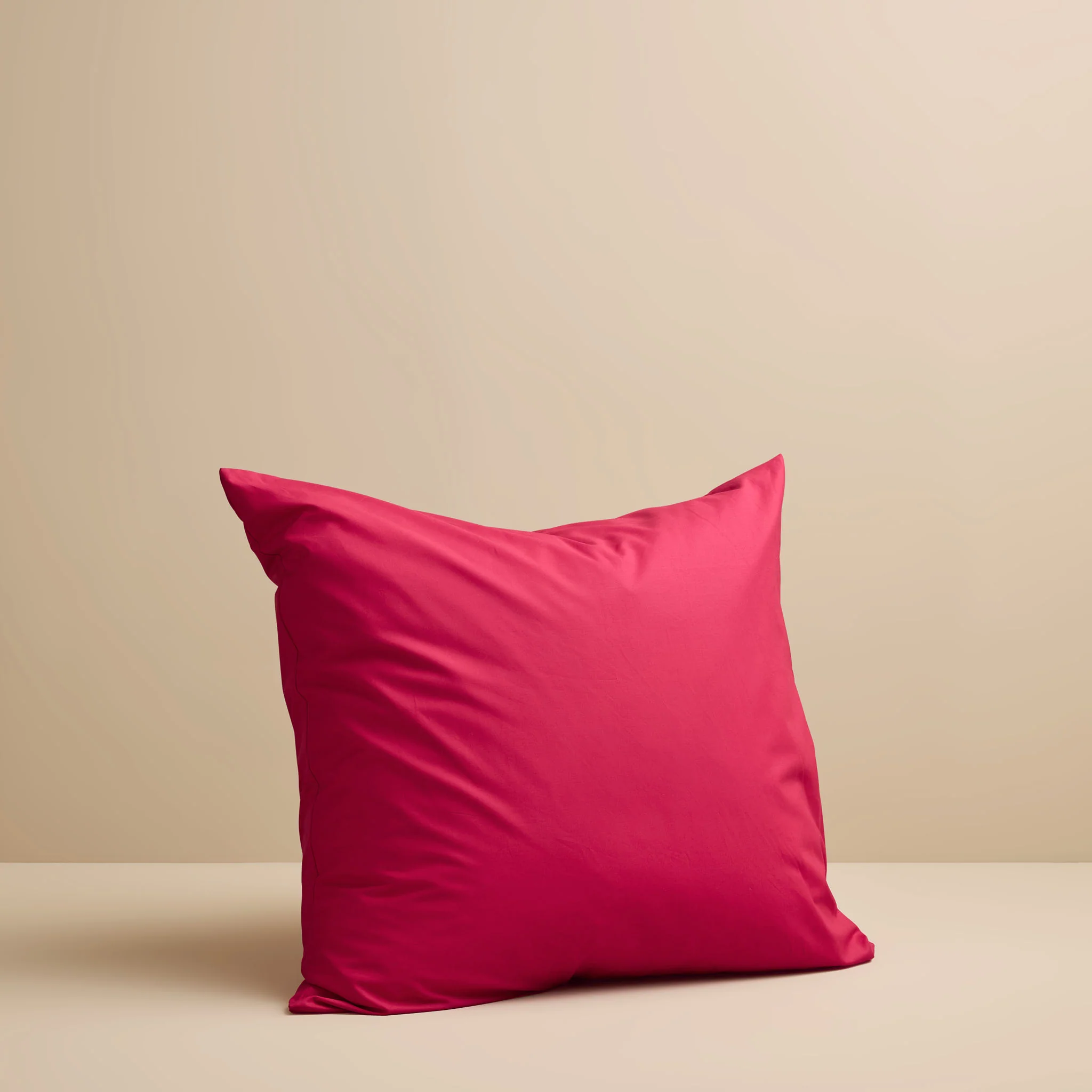 European Pillow Case - Image 11