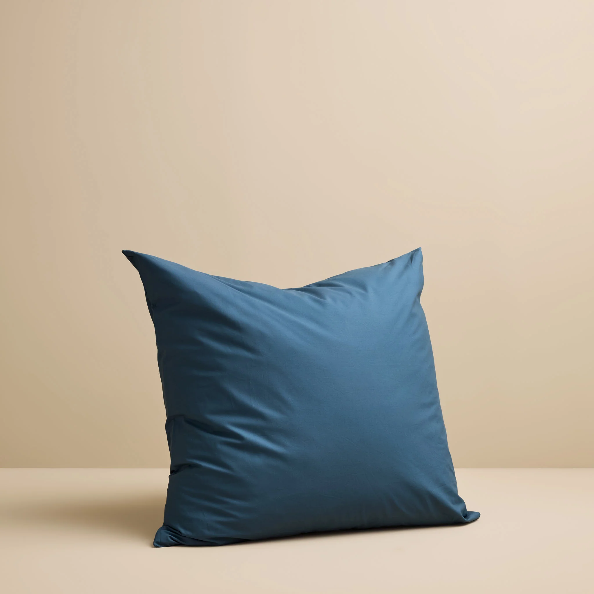 European Pillow Case - Image 15