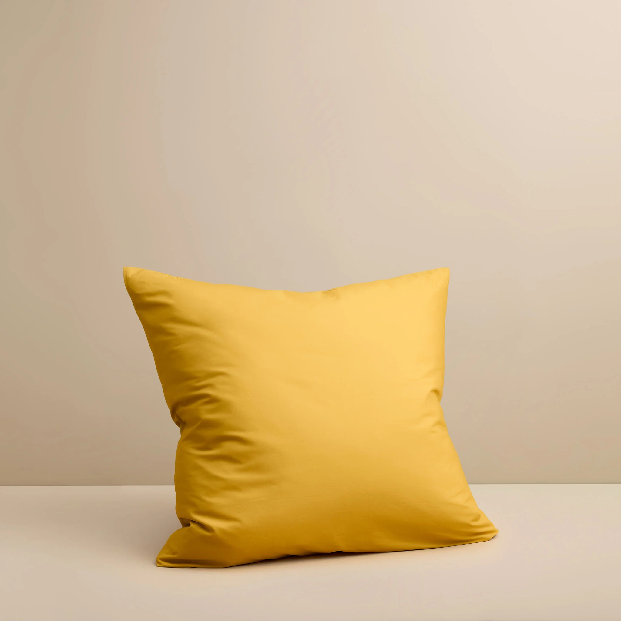 European Pillow Case - Image 17