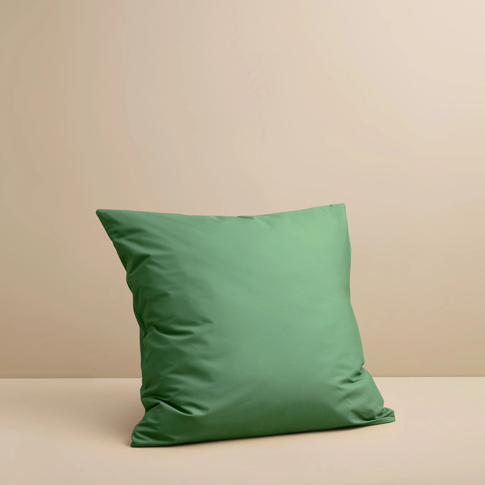 European Pillow Case - Image 19