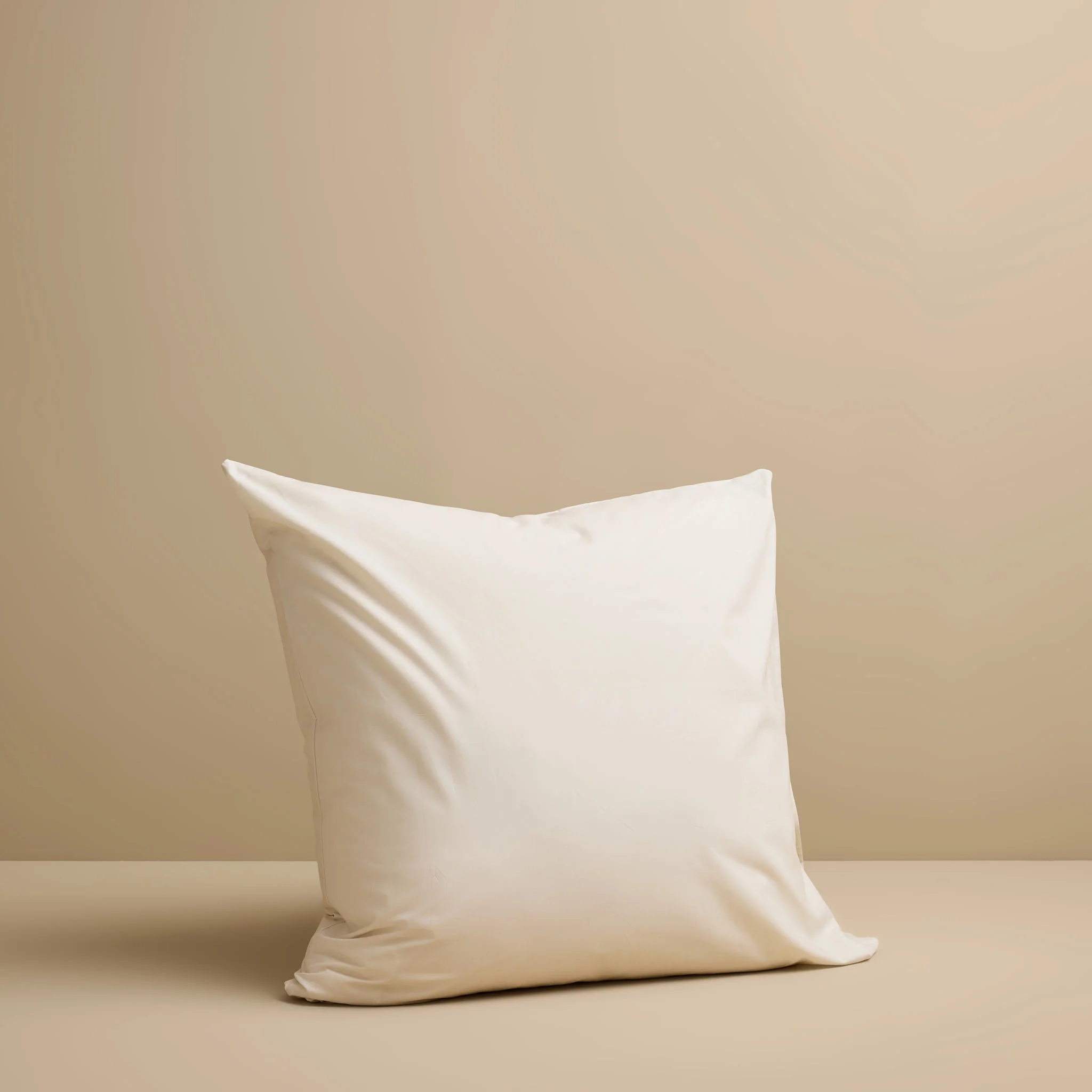 European Pillow Case - Image 3