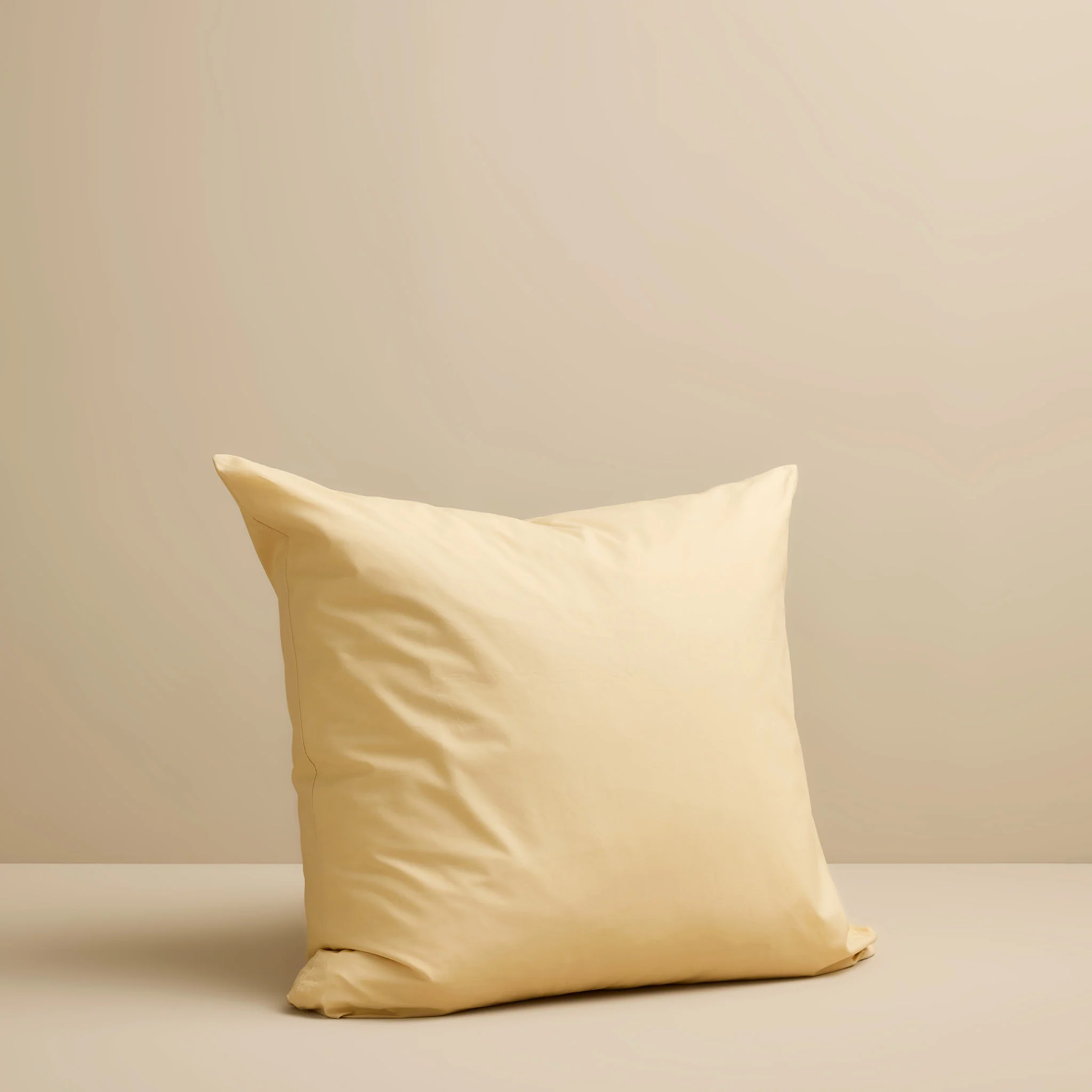 European Pillow Case - Image 7